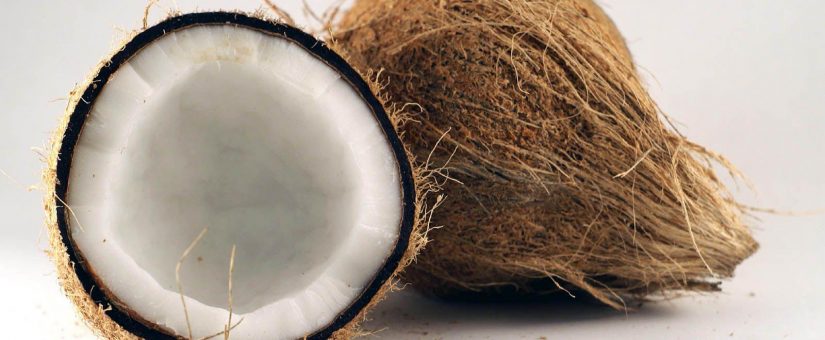 Coconut faces a looming global supply shortage, but could an Australian industry crack it?